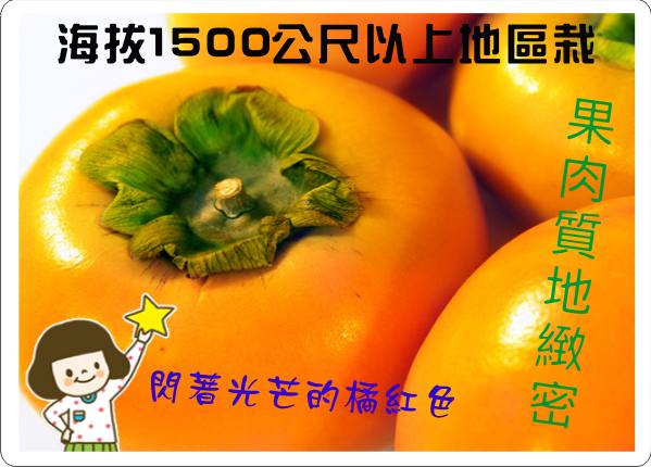 甜柿(目前無商品)